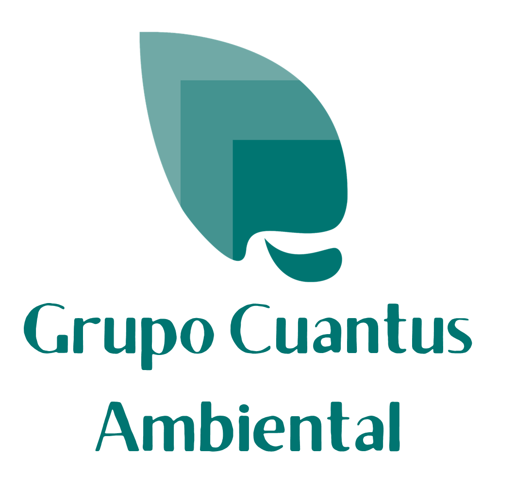 Validación De Informes Grupo Cuantus Ambiental S A S De C V